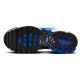 Nike Air Max Plus TN (GS)